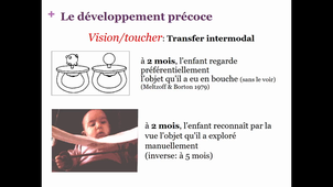 Psychologie de l'enfant