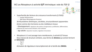 Communication cellulaire 3