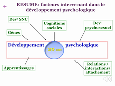 L-SHS-24 - Le développement psychologique > le développement cognitif précoce