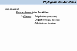 Les Annélides Polychaetes