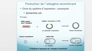 Méthodes d'obtention d'un allergène recombinant