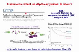 2026 JAVAUGUE DIU Rein et Maladies de Système Amylose AL.mp4