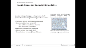 UE5 cours biologie cellulaire cytosquelette 2026 partie 2