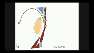 UE2 AN6-AN7