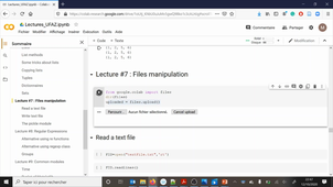 UFAZ L3 - Computer Sciences for Physiscs and Chemistry - File manipulation