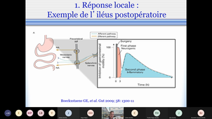 Répercussions circulatoires et respiratoires du stress