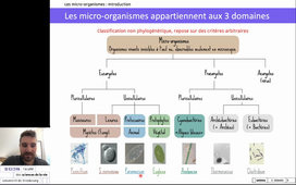 CM Biodiversité L1SpS - Les micro-organismes (Sylvain DEBARD)