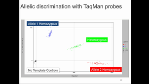 SNP genotyping methods