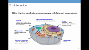 TCM_3_Toxicodynamie (1).mkv