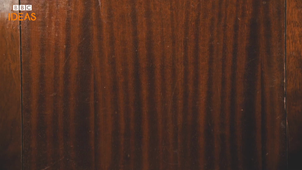 Documentaire BBC Smallpox 2020