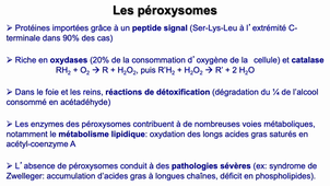 L1_BBC_Peroxysomes