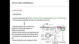 communication cellulaire 2