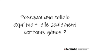 Pourquoi une cellule exprime-t-elle seulement certains gènes ?