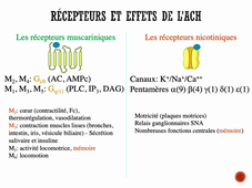 Médicaments Alzheimer