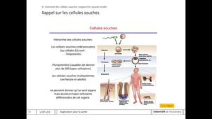 L1SPS UE5 Bio Cell Apllication 2