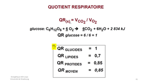 bioénergétique 1 2025