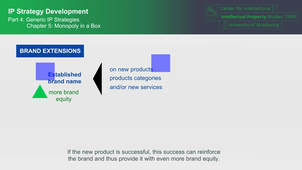 IP-Strategy 4.C5