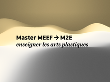 master MEEF et M2E.m4v