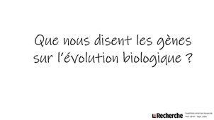 Que nous disent les gènes sur l'évolution biologique ?