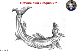 TD1 DMV - 2 Methodologie.mp4