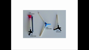 Explications Exercice I