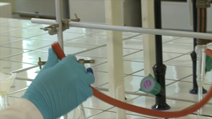 05-KARPENKO-IULIIA-extraction-HD