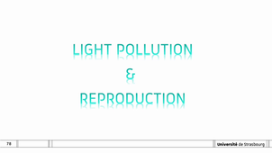 EMNLightPollution Part2.mp4