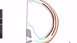 UE1 - Articulations cage thoracique et espace intercostal.mp4