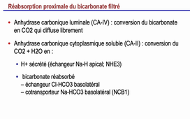 Physiopathologie des acidoses rénales