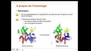 L1SpS UE2 Génome 1