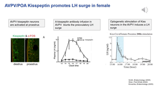 HPG axis 3a_NeuroEndocrinology HPG axis_Kisspeptin & RFRP3_enregistré_slides 1-32.mp4