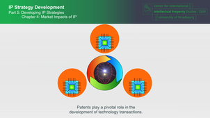 IP-Strategy 5.C4