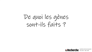 De quoi les gènes sont-ils faits ?