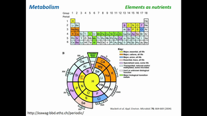 MMD2 - the microbial carbon cycle