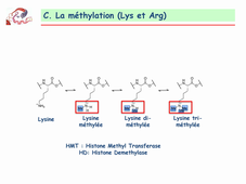 3-CMepigen_modifhistones