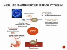 Médicaments Parkinson Partie 2