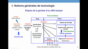 TCM1_Notions générales (1).mkv