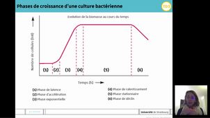 CM2 PdL Culture cellulaire - Partie 2