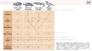 Module 20 - Systematique 1d - Methodologie et Exercices.mp4
