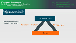   IP-Strategy 2.C2