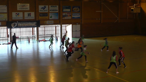 OptHB-TD4_Video 2