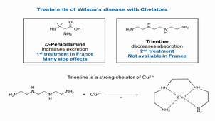 Peter Faller Conference