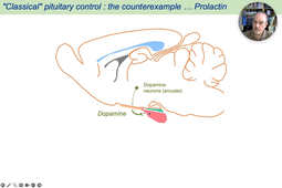 08 - Anterior Pituitary - GH & PRL .mp4