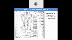 Cours de Selection 4 J. CHONG