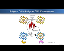 Influenza - die spanische Grippe