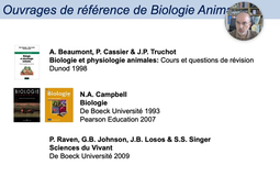 DMV 7 - Moodle et References.mp4