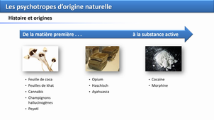 Psychotropes naturels 1/2