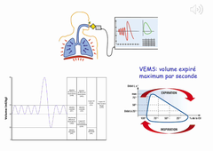 pathologies respiratoires et activités physiques