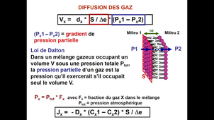 Transfert membranaire 3