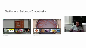 Lecture 12 Complex Systems and Non-equilibrium kinetics.mp4